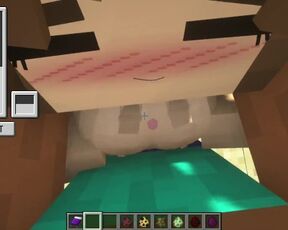 porn in minecraft Jenny mod | Sexmod SchnurriTV | sea ​​shore titfuck jenny