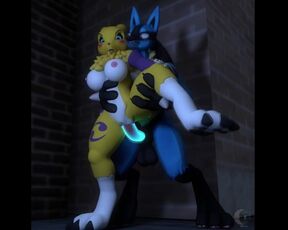 lucario x renamon