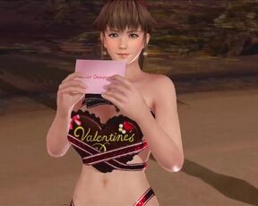 Dead or Alive Xtreme Venus Vacation Hitomi Valentine's Day Pose Cards Fanservice Appreciation