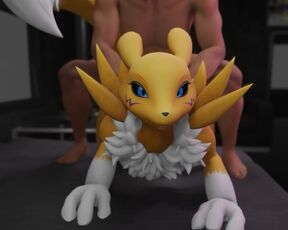 Furry porn with Renamon doing sex